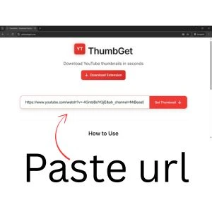 paste-youtube-video-url-on-ytthumbget-search-bar-on-home-page